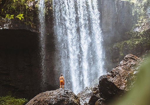 endless-rainforest-journey