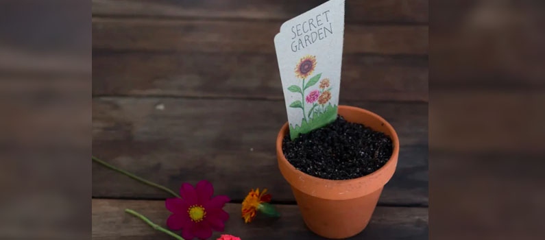 secret garden gift of seeds